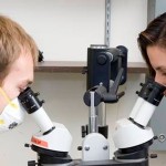 Research updates